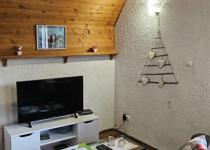 Brvnara Mala Kuca, Lic