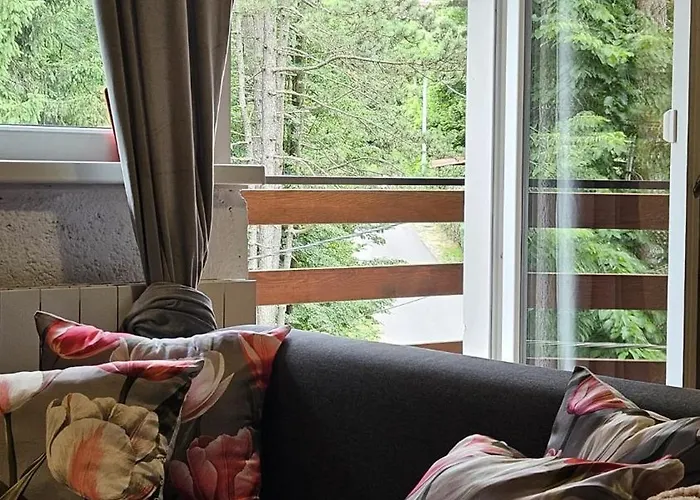 Mala Kuca, Brvnara Lic